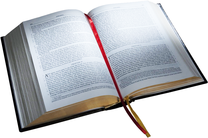 Bible Png - Bible Transparent Png (850x565), Png Download