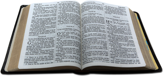 Open Bible - Biblia Abierta Y Cerrada (545x258), Png Download