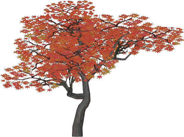Wiki (631x631), Png Download