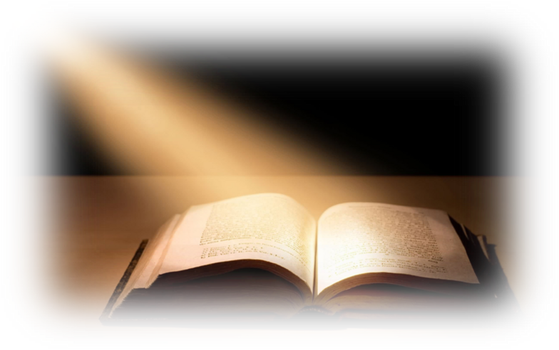 Bible Transparent Png Pictures - Open Bible Transparent Background (784x492), Png Download