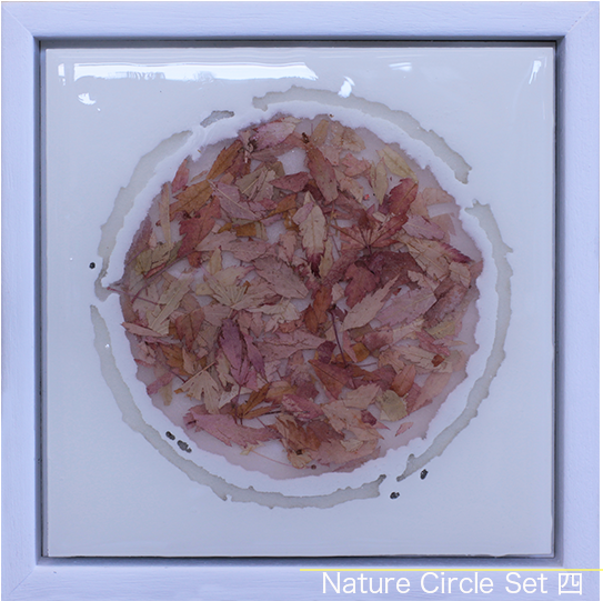 Nature Circle 4 Framed Japanese Maple Gillies - Art (785x540), Png Download