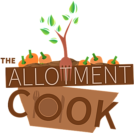 Japanese Maple - Theallotmentcook - Library (478x479), Png Download