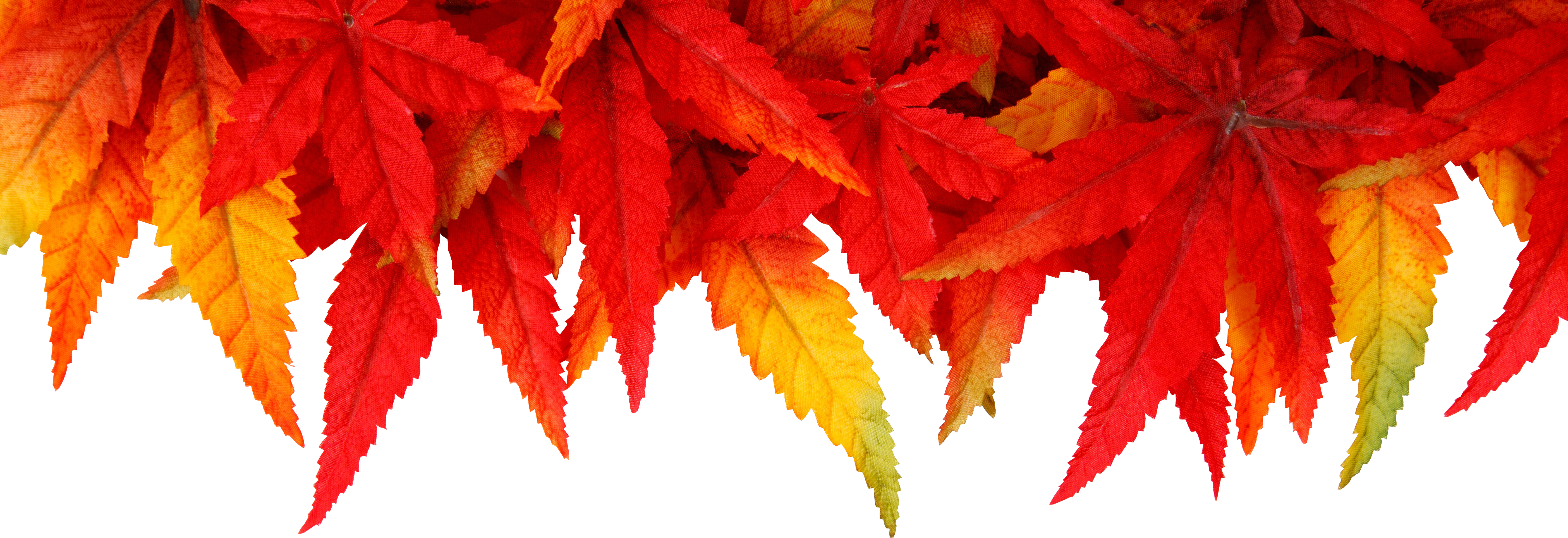 The Study Of Nature Is A Large, If Not The Only, Part - Autumn Background Free (1600x1066), Png Download