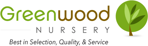 Greenwood Nursery Logo - Greenwood Nursery (632x221), Png Download