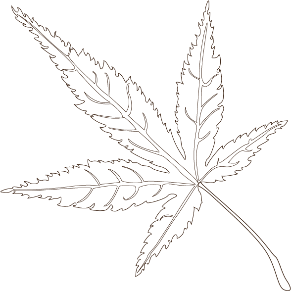 Color The Leaves To Understand The Shades Of Fall - Maple (600x600), Png Download