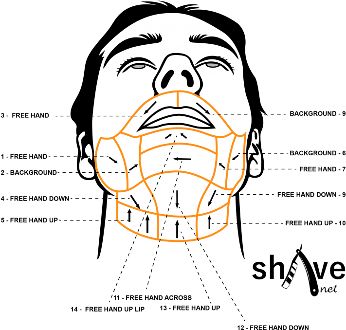 In Fact, Some Individuals May Have Cow-licks And The - Properly Shave Your Face (768x701), Png Download