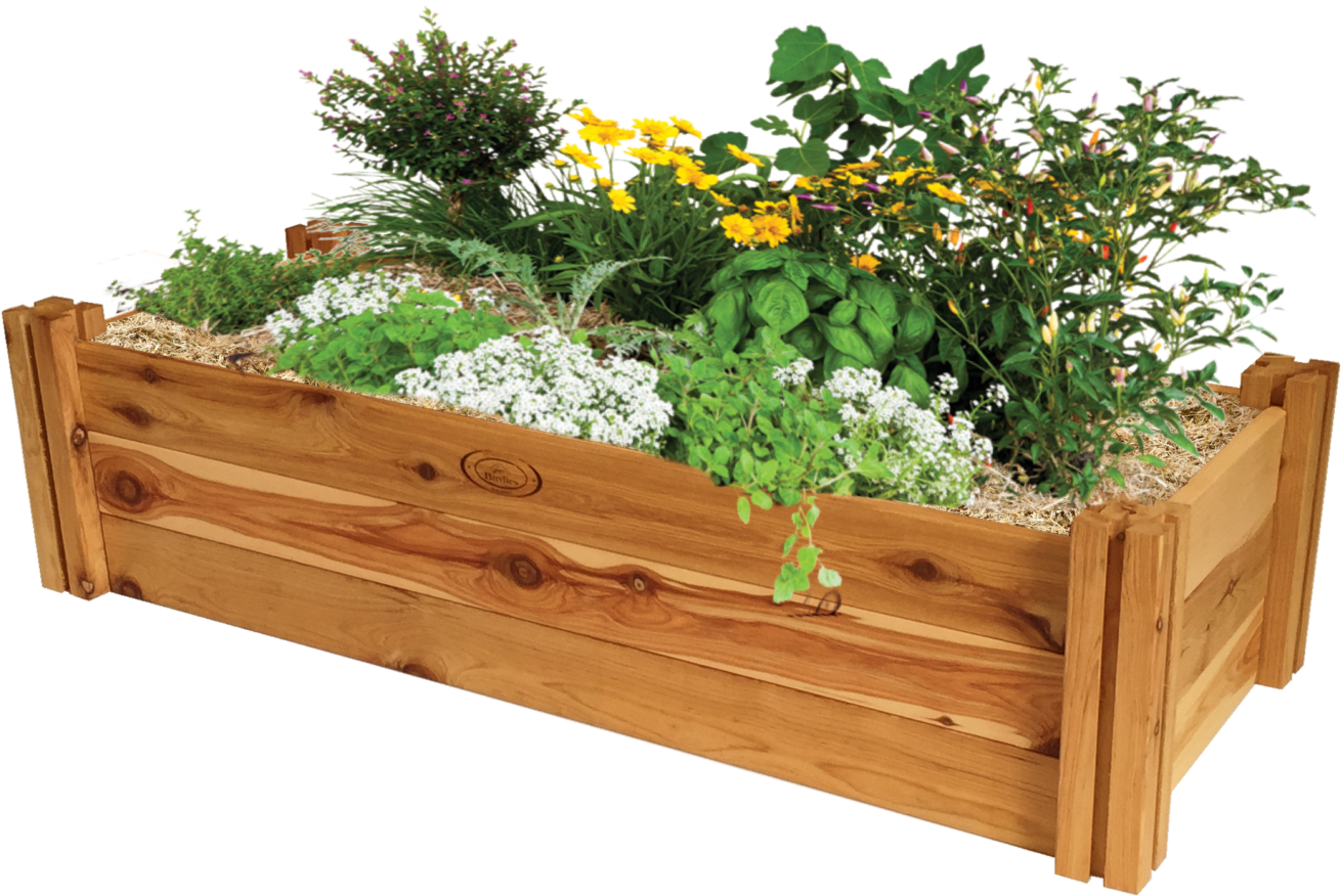 Raised-bed Gardening (2048x1536), Png Download