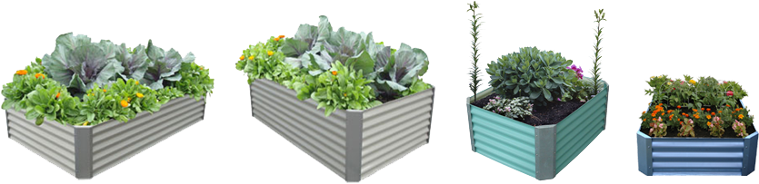 Vegetable Garden Png - Raised-bed Gardening (867x274), Png Download