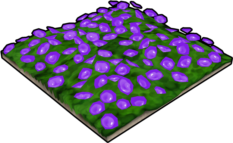 Purple Flower Bed - Wikia (920x920), Png Download