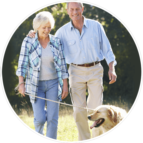 Novisport Dog Walking - Older Person Walking Dog (554x550), Png Download