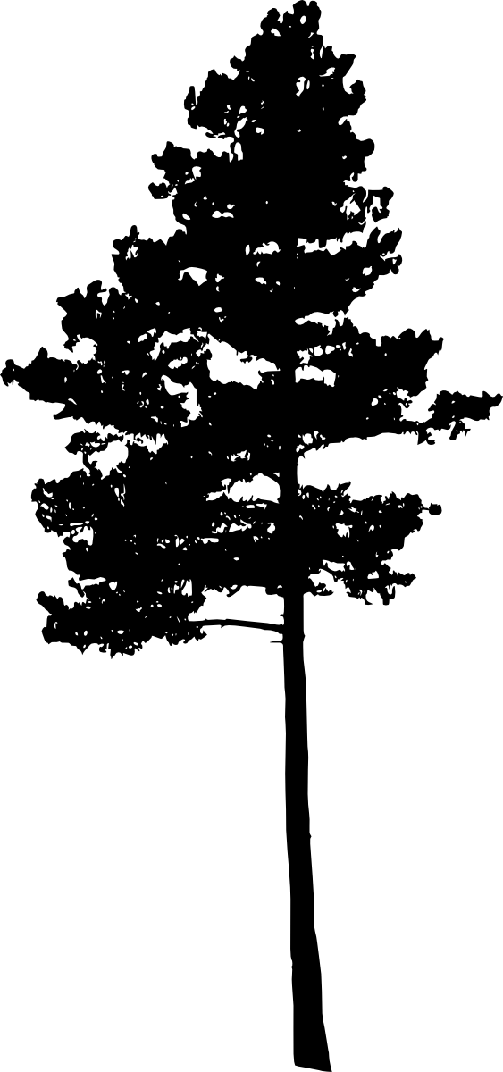 Download Free Png Pine Tree Silhouette Png Images Transparent Portable Network Graphics Png Image With No Background Pngkey Com
