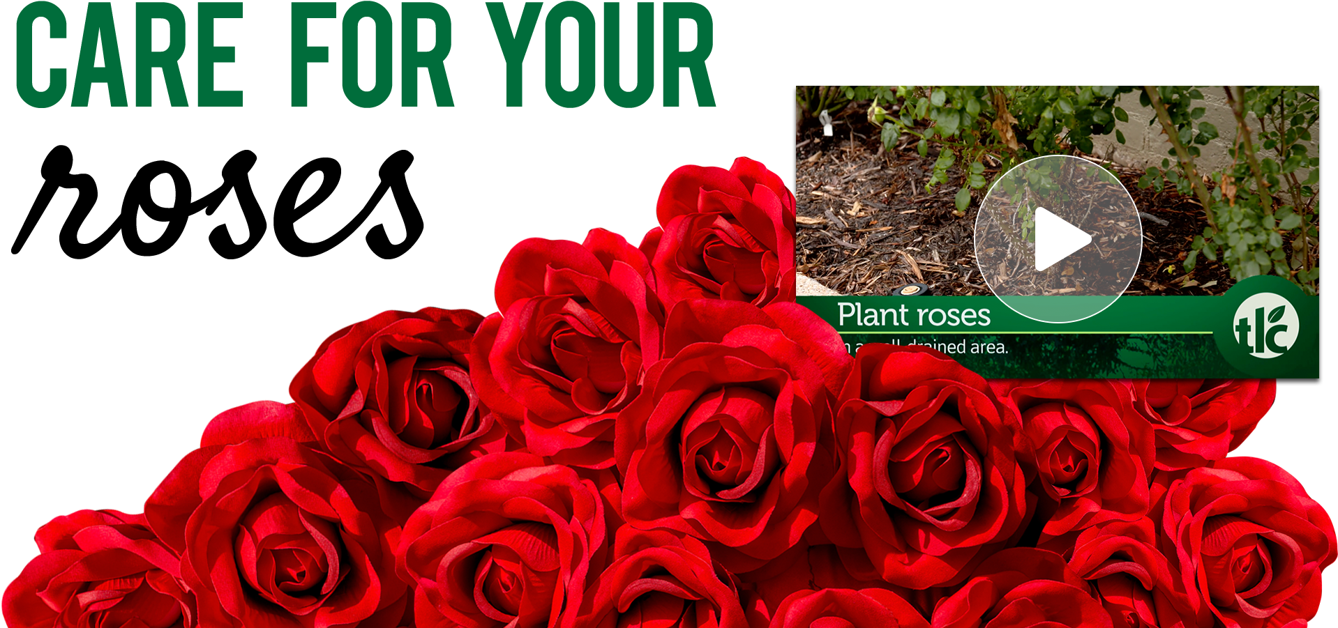 Tlc How-to Video Series (2002x984), Png Download