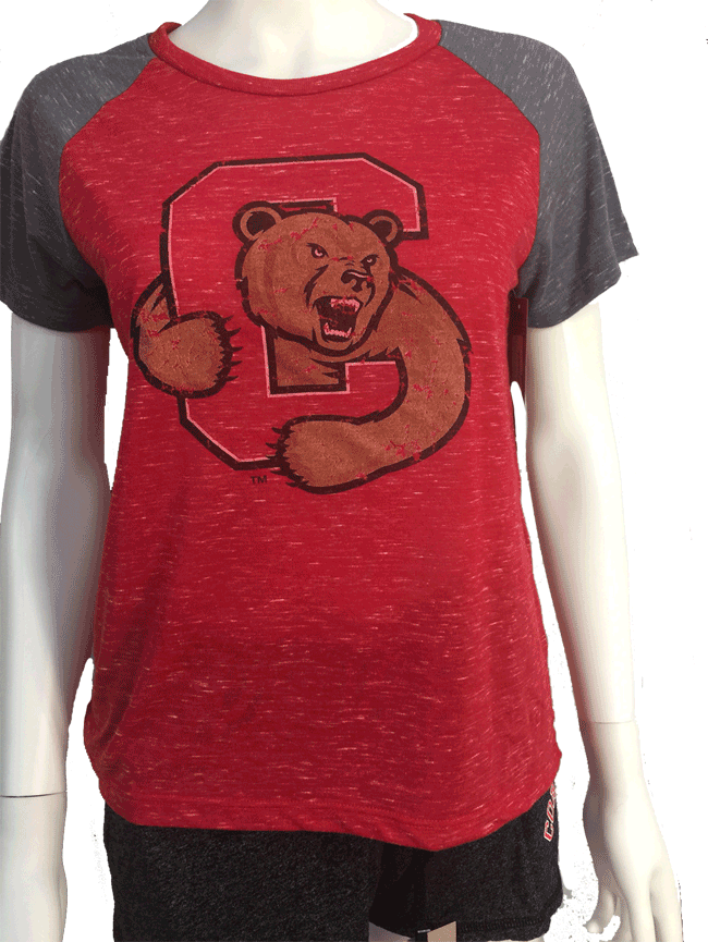 Cornell Gracie Confetti Raglan Tee - Cornell Big Red (650x865), Png Download