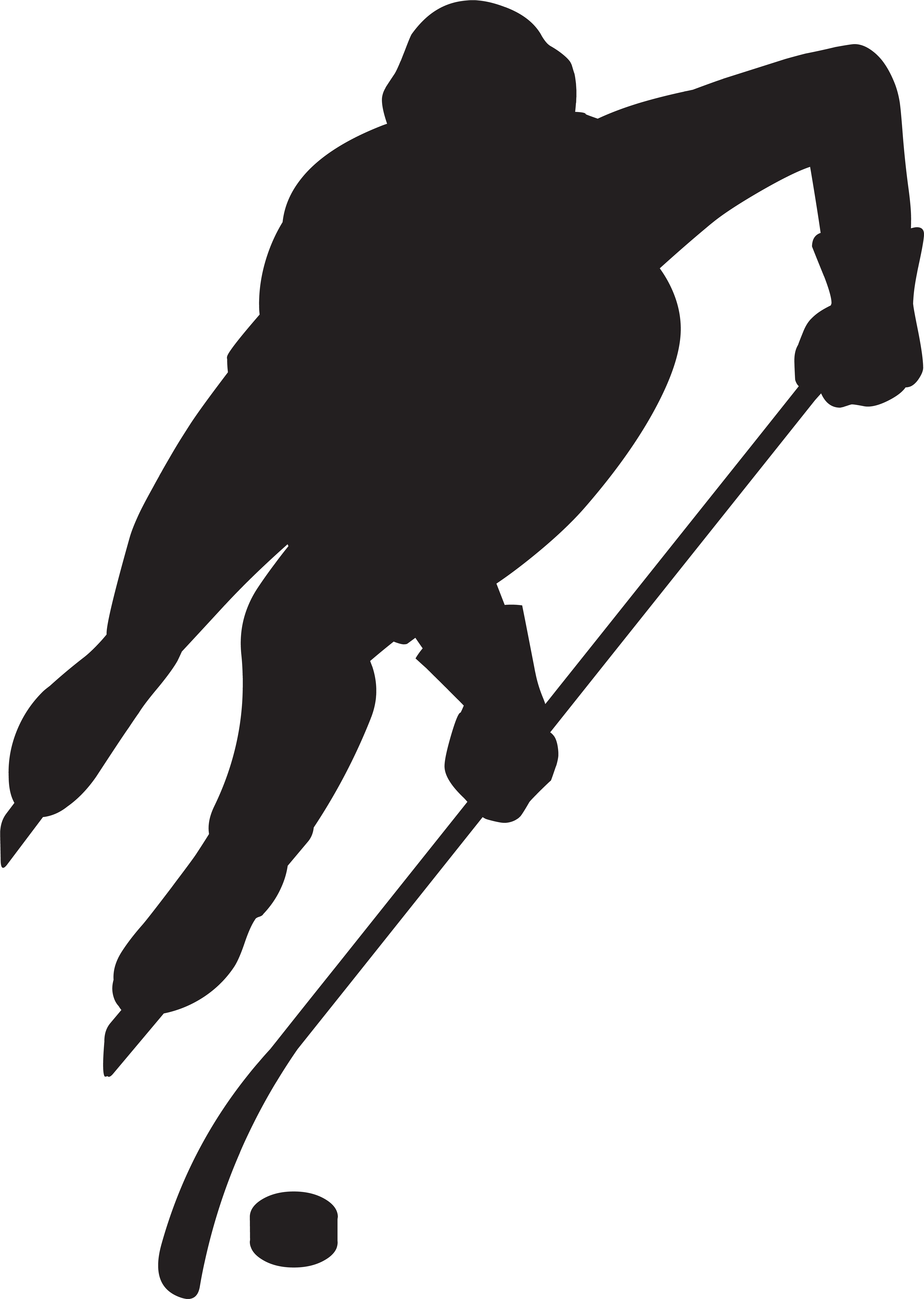 Hockey Player Silhouette Png Clip Art Imageu200b Gallery - Clip Art (5691x8000), Png Download