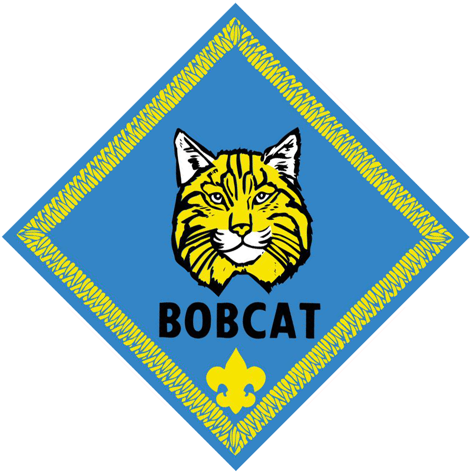 Bobcat - Cub Scout Bobcat Rank (927x920), Png Download