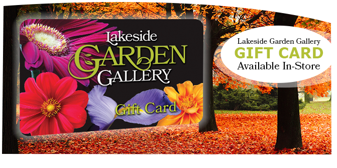 Lakeside Garden Gallery Logo - Leinwandbild Rot Gefärbte Baumallee Im Herbst Pixxprint (677x360), Png Download