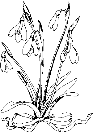 Dibujo De Flor Copo De Nieve Para Colorear - Drawing (600x470), Png Download