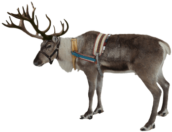Reindeer Png (400x400), Png Download