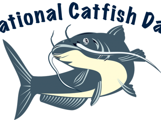 Catfish Cartoon (640x480), Png Download