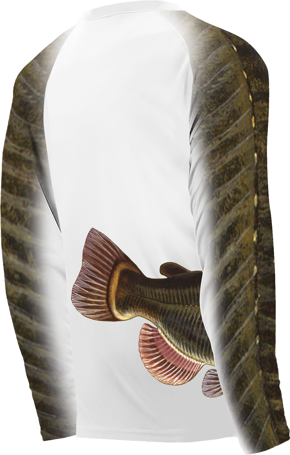 Wrap Around Catfish - Sailfish (1068x1600), Png Download