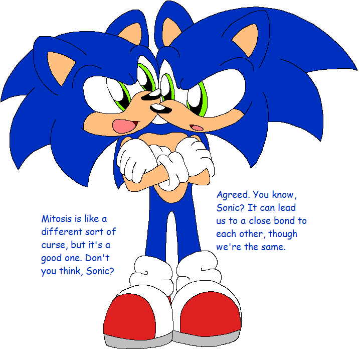 Two-headed Sonic - Cartoon (742x722), Png Download