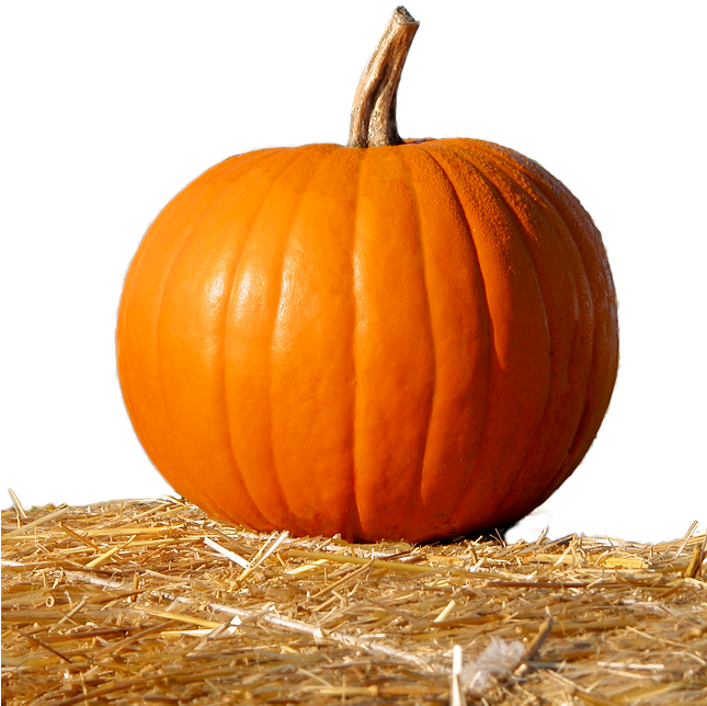 Pumpkin, Straw, Isolated, Fruit, Deco, Orange, Nature - Pumpkin In Straw (644x720), Png Download