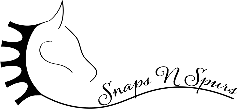 Calligraphy (1024x498), Png Download