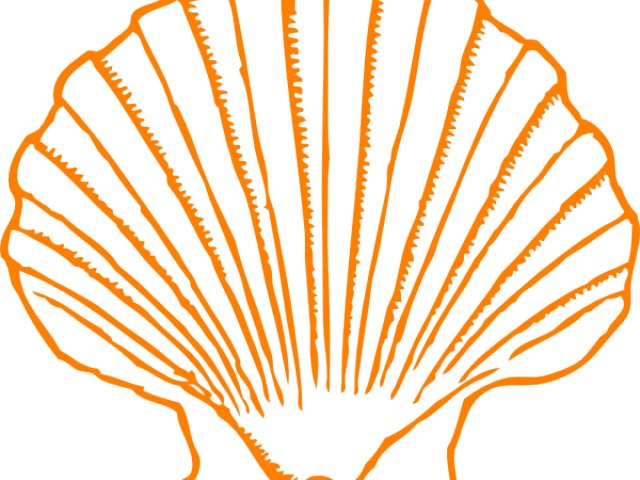 Vector Black And White Download Free On Dumielauxepices - Shell Clip Art (640x480), Png Download