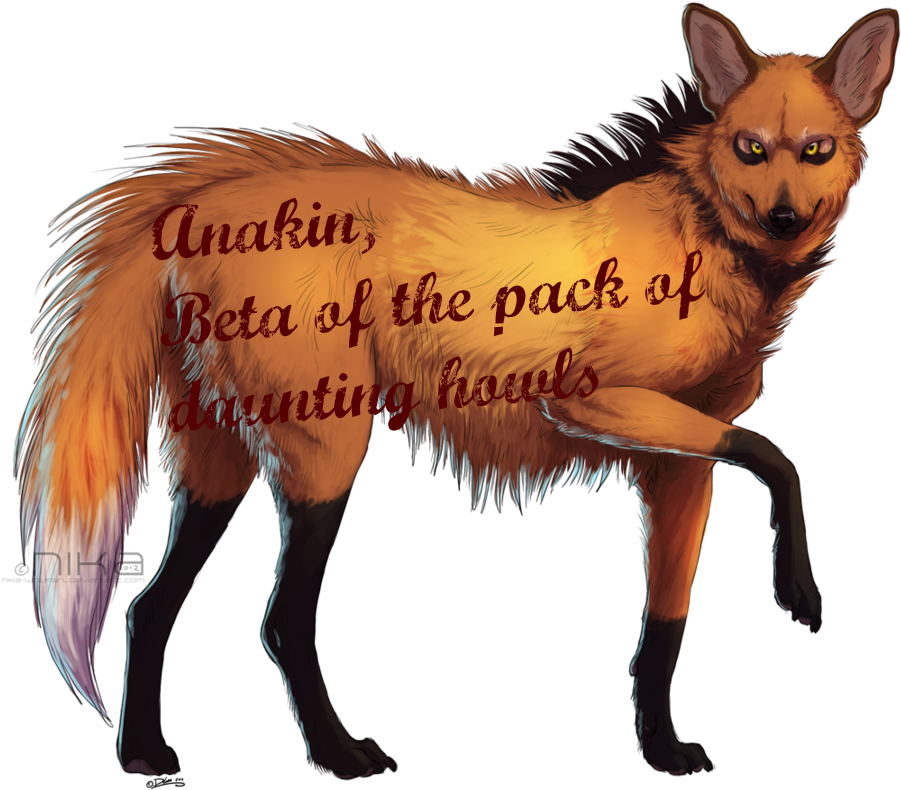 Anakin Png - Mane (957x835), Png Download