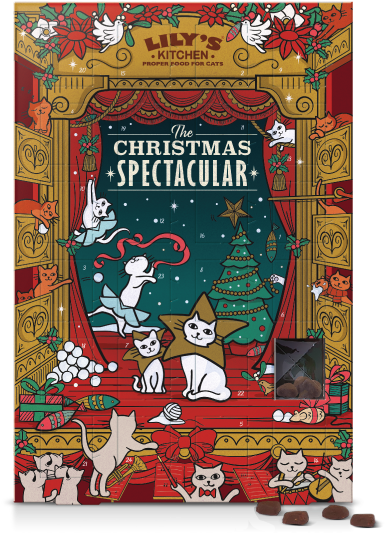 Cat Advent Calendar 2018 (570x570), Png Download