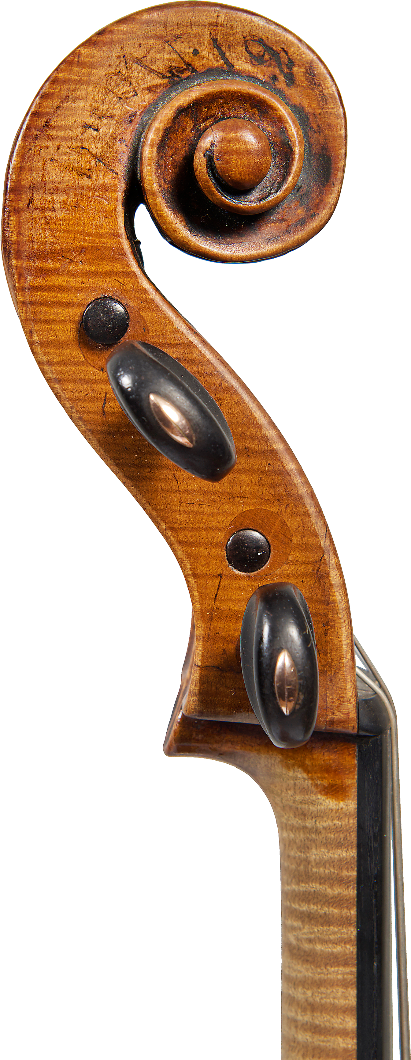 1 - Viola (1468x4000), Png Download