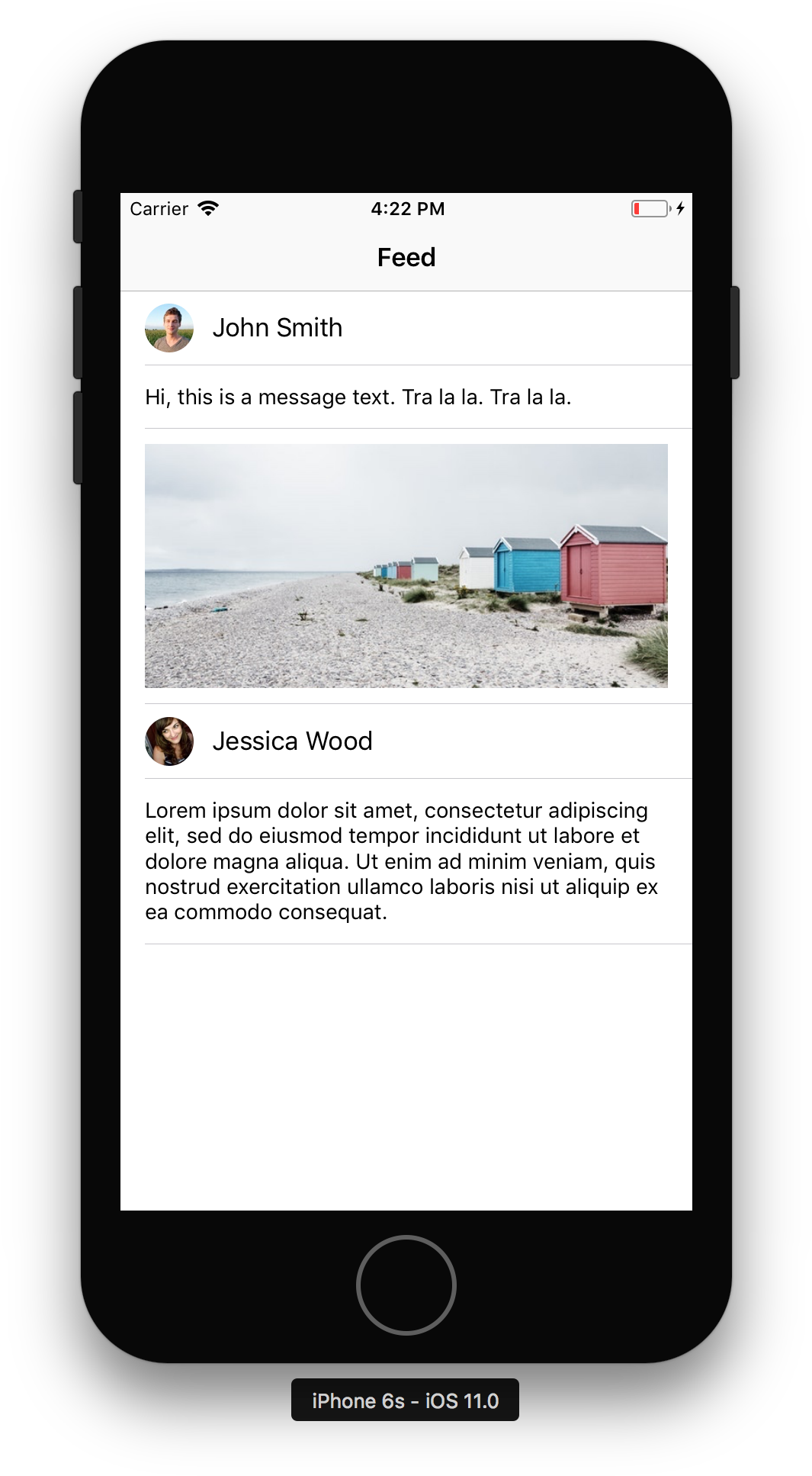We Need To Display A Feed With A Different Type Of - React Native Ios Simulator (1118x1962), Png Download