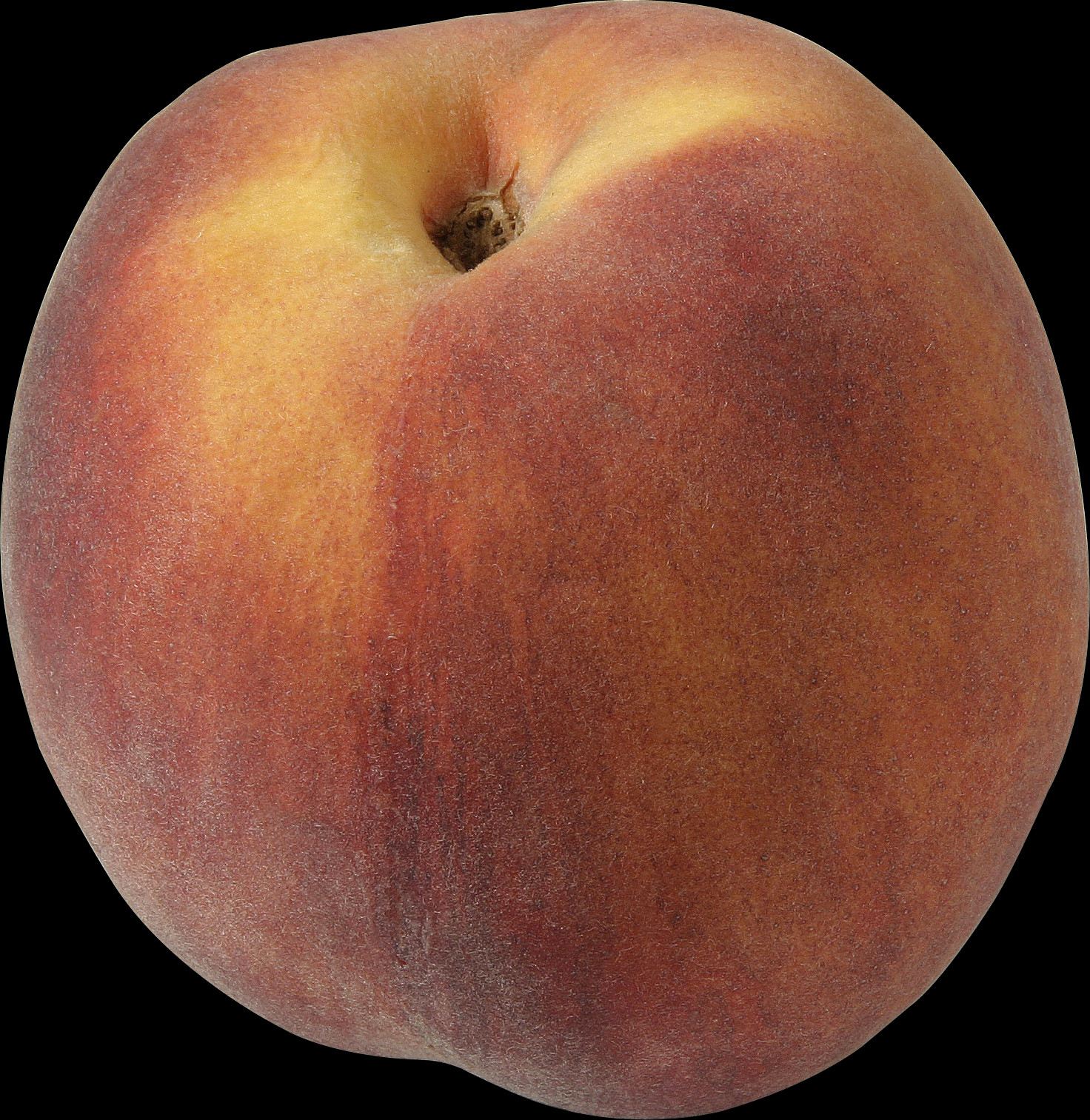 The Peach Is Classified With The Almond In The Subgenus - Peach (1472x1513), Png Download