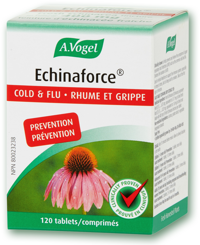 Made With 400 Mg Of Fresh Echinacea Tincture Per Tablet - Echinaforce Shoppers Drug Mart (800x800), Png Download