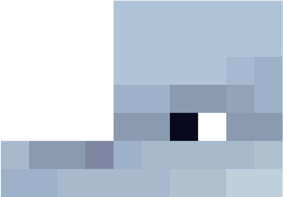 Bat Face - Minecraft Dolphin Face (600x600), Png Download