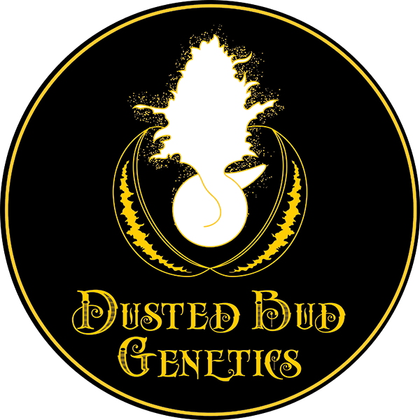 Dusted Bud Genetics - Sport Club Internacional (600x600), Png Download