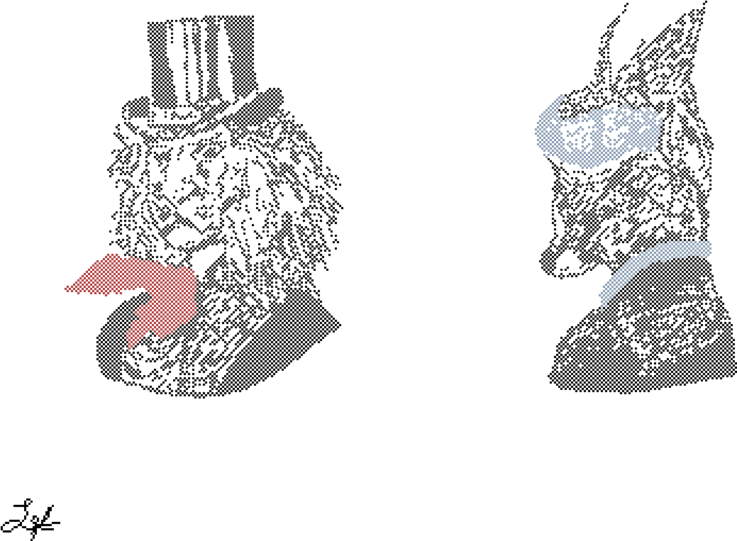 Dandy Lion & Foxy Lady - Illustration (1200x825), Png Download