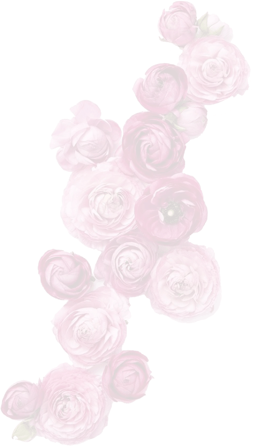 The Ultimate Floral Experience - Garden Roses (688x904), Png Download