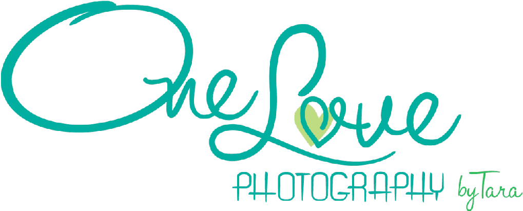 One Love Photography - Photography (1024x491), Png Download