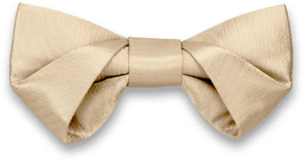 Folding In Champagne Gold Bow Tie - Formal Wear (595x595), Png Download