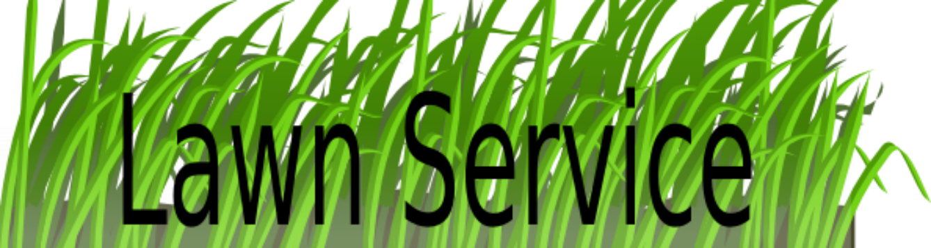 Lawn Service Business Basics What Not To Do - Grass (1338x357), Png Download