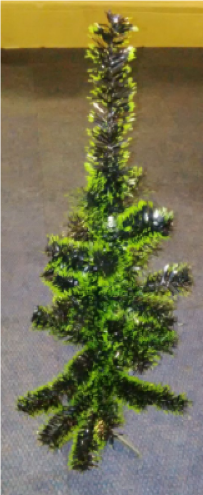 Xmas Tree - Christmas Tree (1000x1000), Png Download