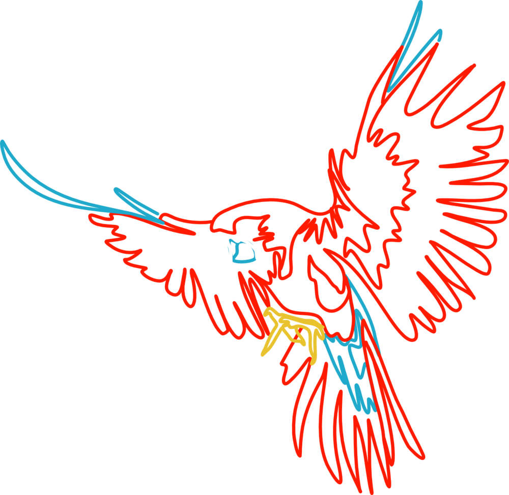 Parrot - Illustration (1000x973), Png Download