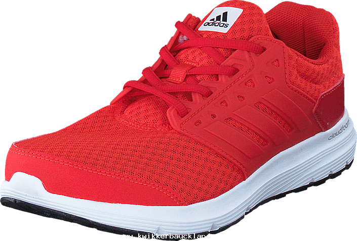 Adidas Sport Performance Galaxy 3 M Core Red S17/core - Adidas Performance Galaxy 3 Red (705x477), Png Download