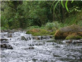 Hawaiian Home Nestled In Beauty Near Waterfalls - Tributary (800x533), Png Download