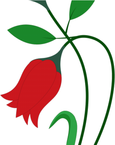 Flowers Vectors Png Transparent Images - Rose Flowers For Drawing (640x480), Png Download
