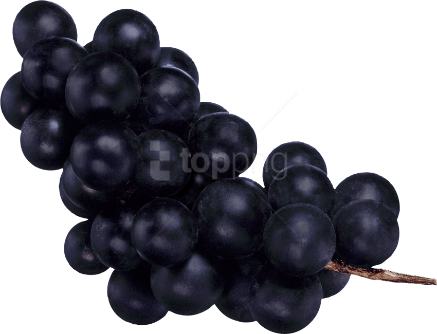 Free Png Download Black Grapes Png Images Background - Темный Виноград Png (850x650), Png Download