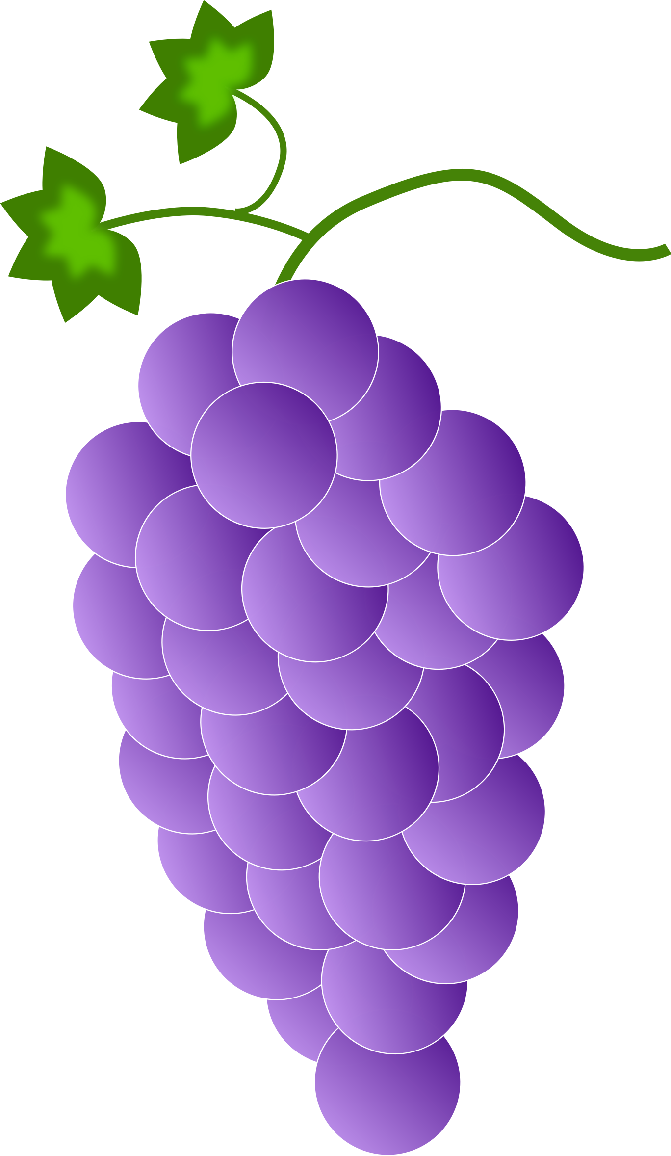 1368 X 2356 2 - Grapes Color (1368x2356), Png Download