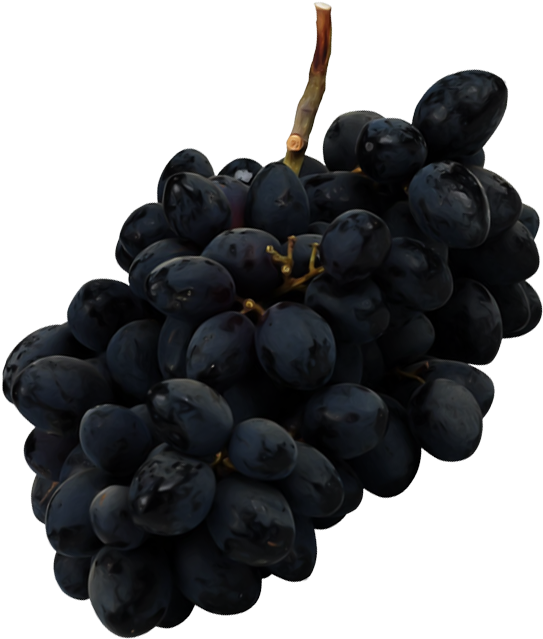 Red And Black Grapes - Seedless Fruit (553x659), Png Download