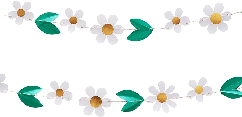 800 X 410 1 (800x410), Png Download